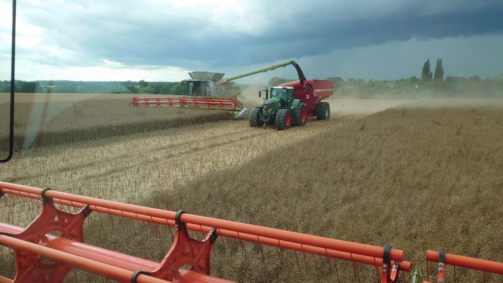 OSR finished just before it rained.